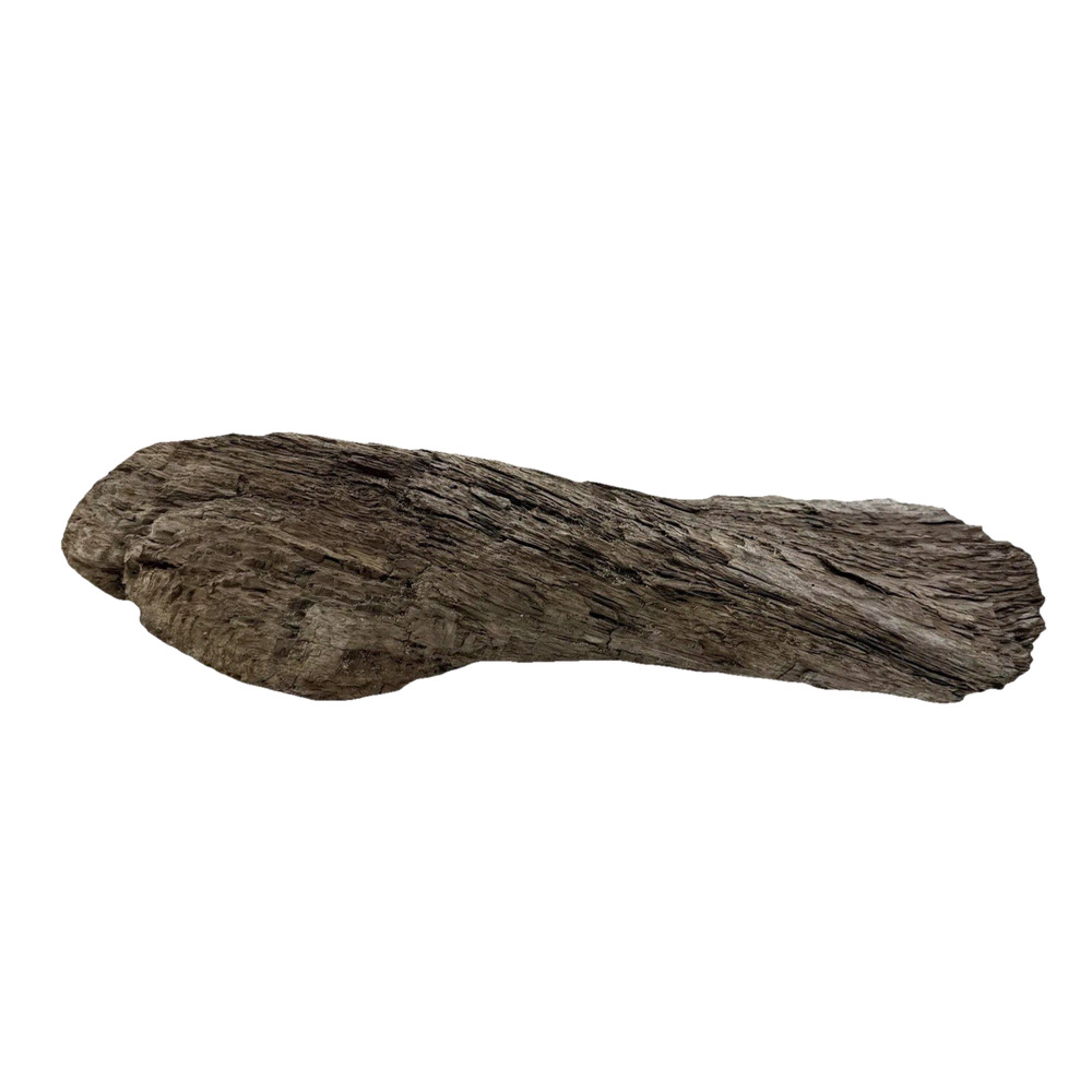 Twisted California Coast Driftwood Form – Dark Weathered Grain 13”